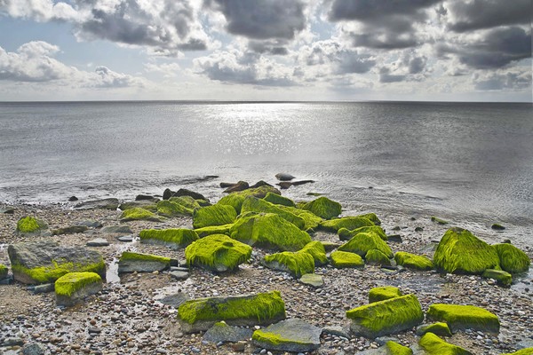 Cape Cod Seashore
