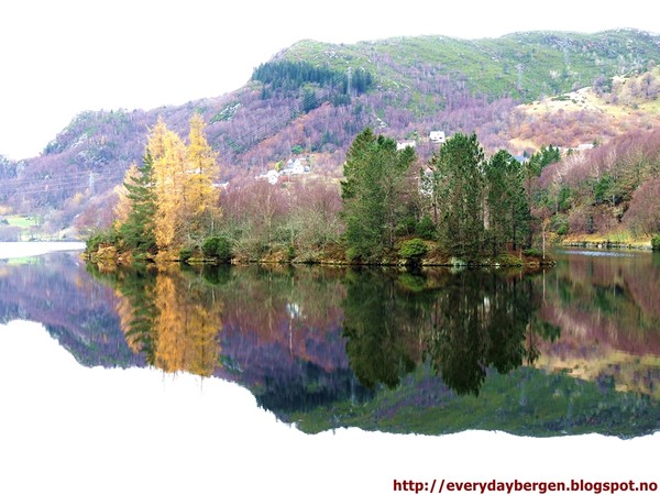 Autumn mirror