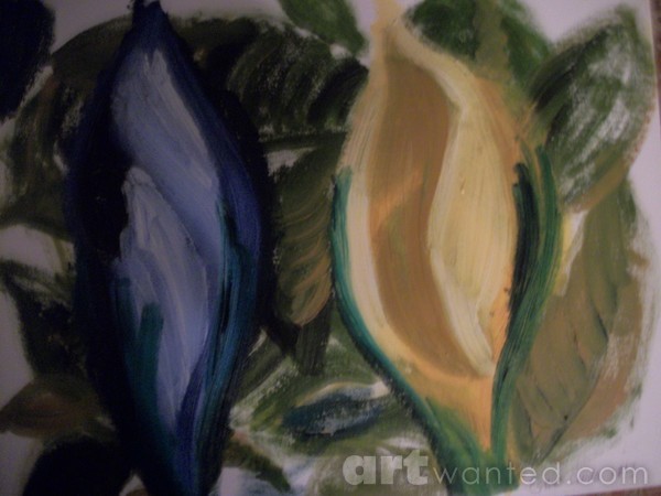 Tulip Buds