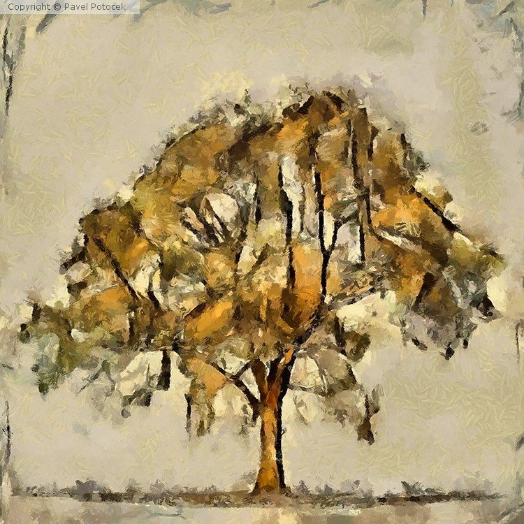 Tree X