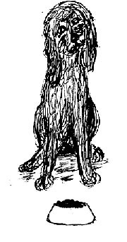 arf