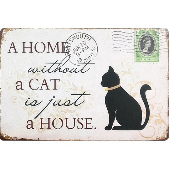 happycats (43)