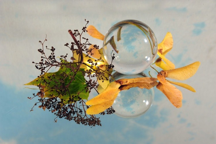 Lensball and Leaves
