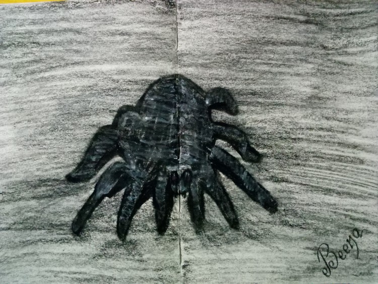 Spider on my book