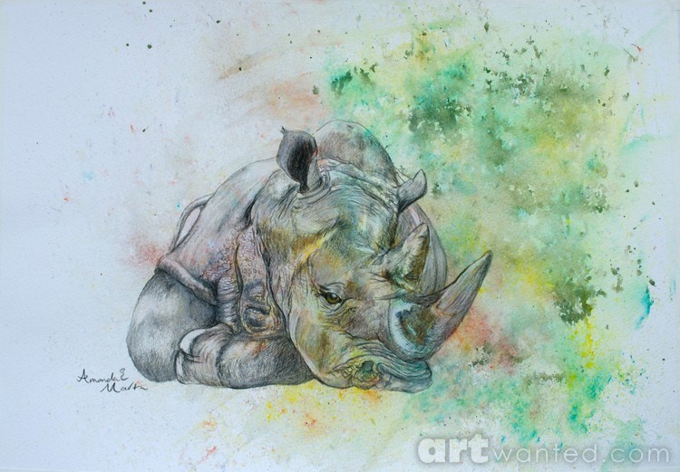 Rhino sleeping