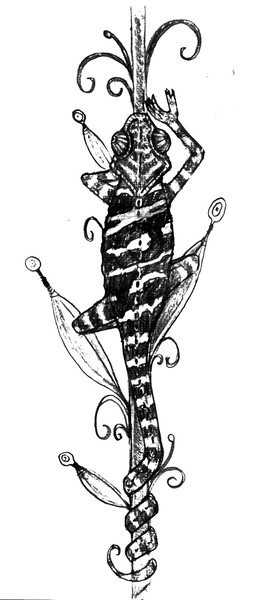 Chameleon climbing