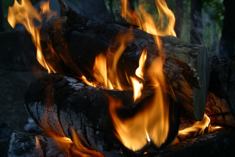 Firewood