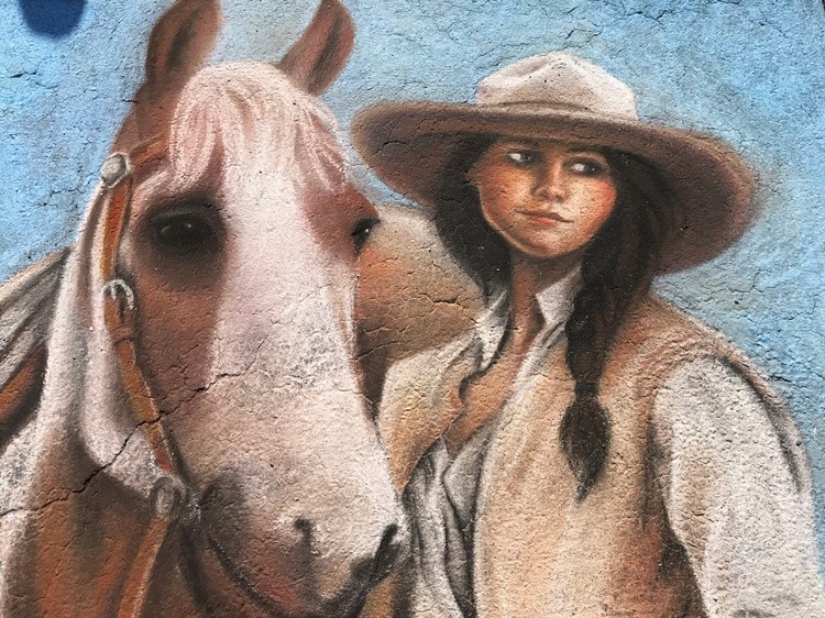 Cowgirl and Her Horse