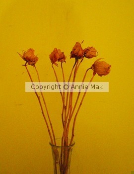 Warped Flowers
