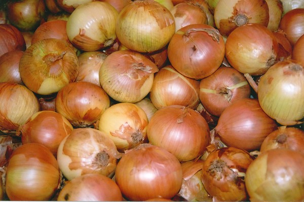 Onions