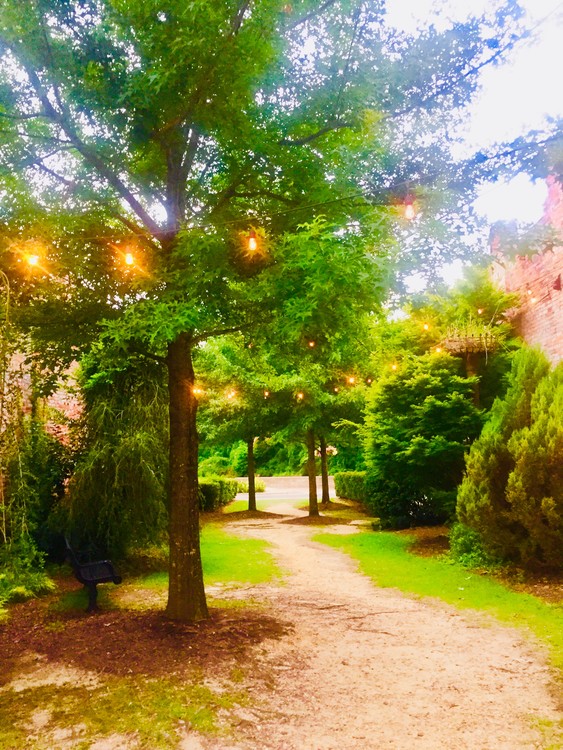 Walk in the Park