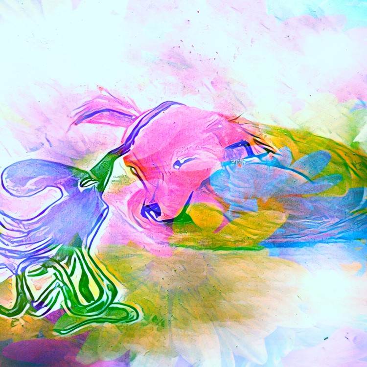 C8A9E948-EB4E-4DD7-BFA3-352EC32A9E67