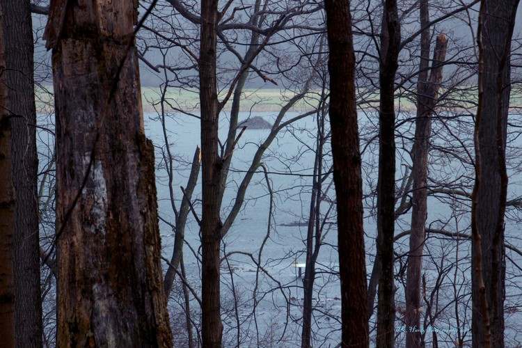 Early Spring