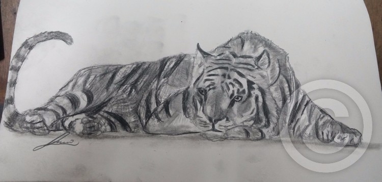 tiger2
