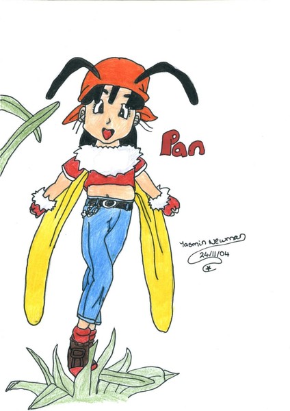 Pan