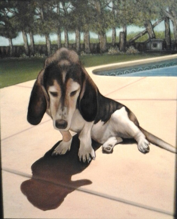 Dog at Pool