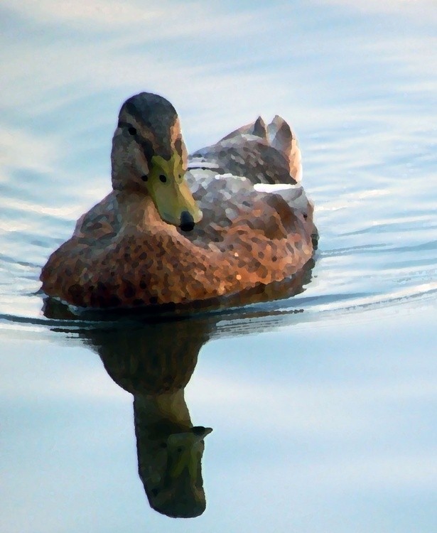 03182023 Palette Knife Mallard Hen