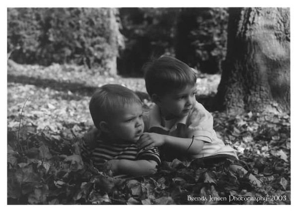 Kids in Leaves 2