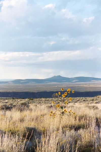 New Mexico