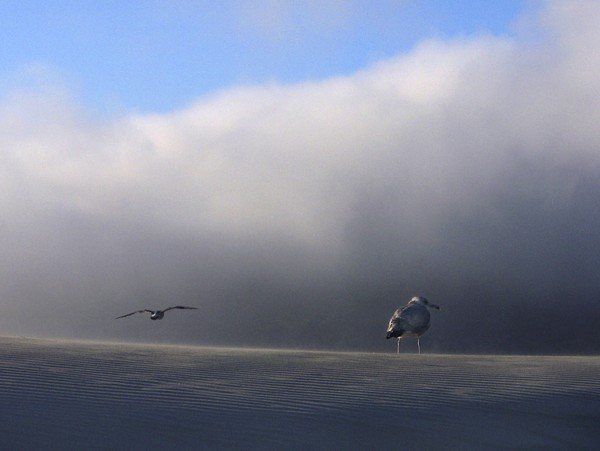 Unknown Horizons