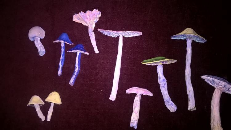 Mushrooms