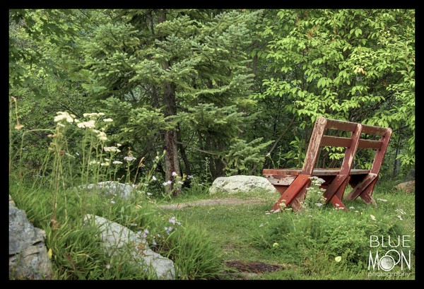 Quiet Repose