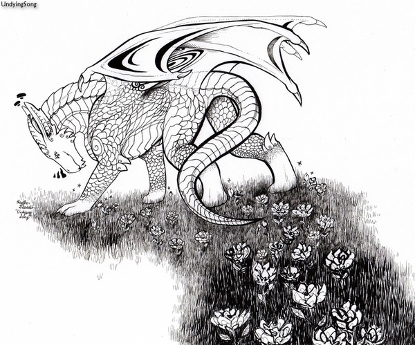 Dragon Flowers