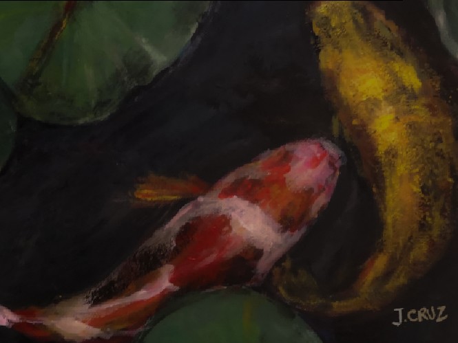 Koi 1