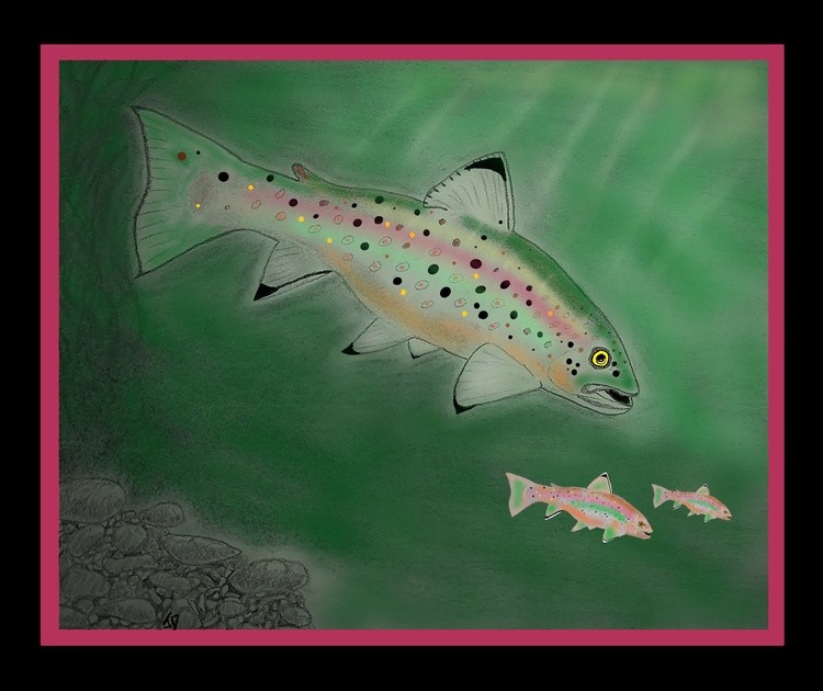 Trout Stream 3 fish