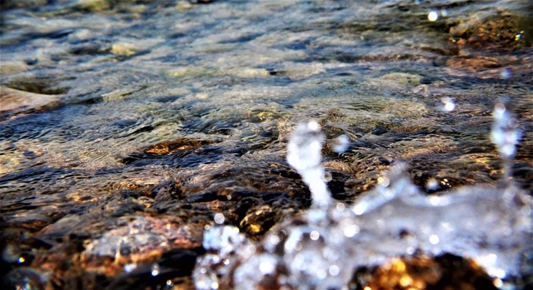 Splash