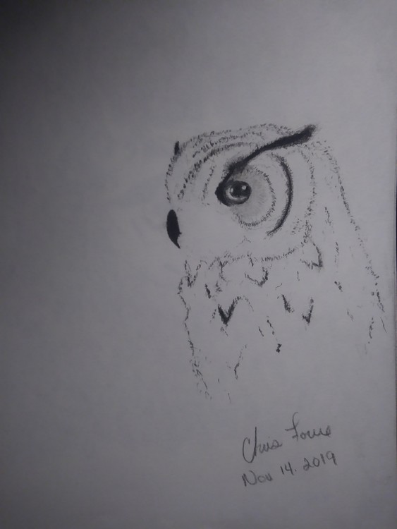 Owl