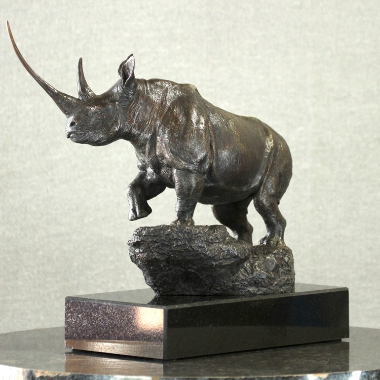 Waiwai The Black Rhino