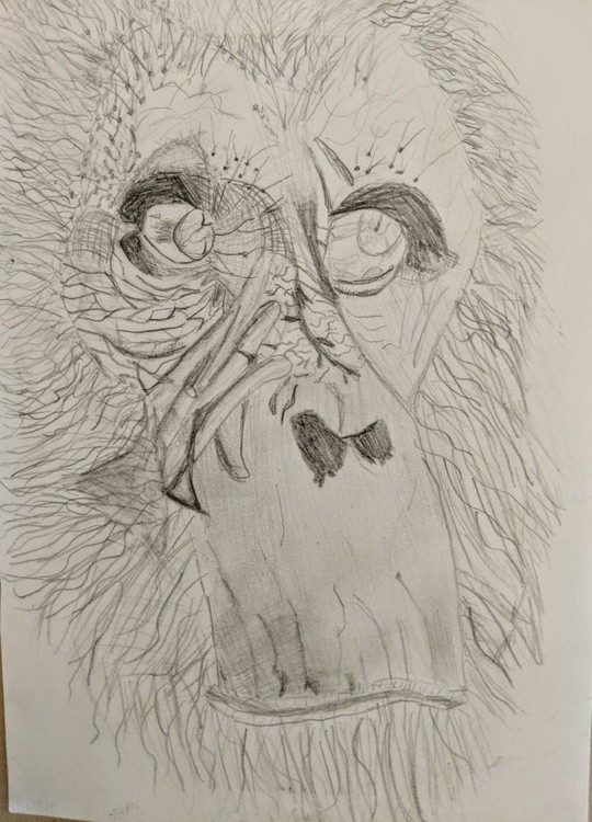Abstract Ape