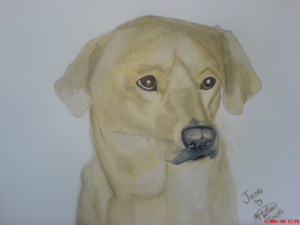 Jess