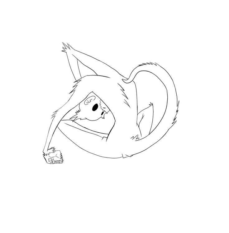 Lil Monke