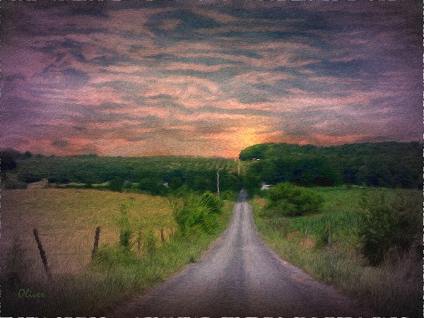 The Long Walk Home