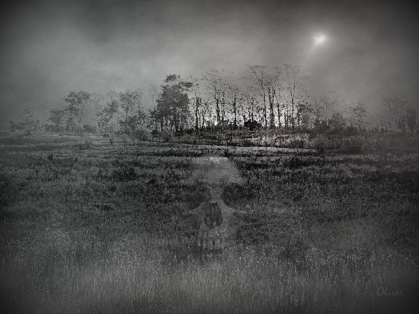 Potter's Field