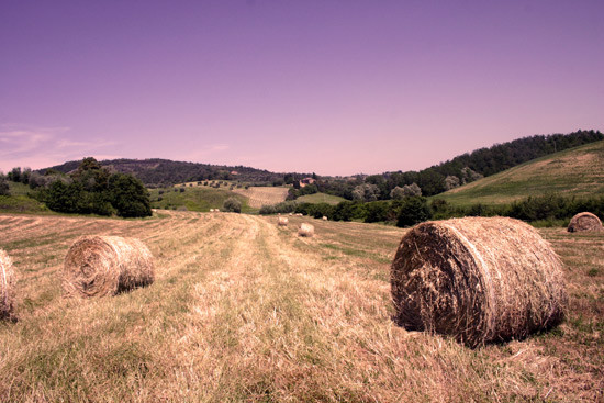 Tuscany