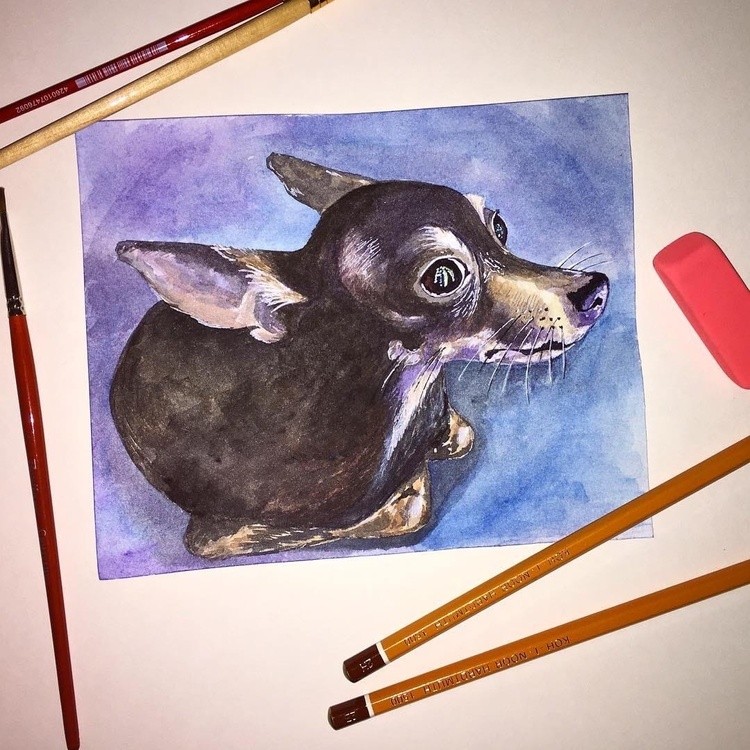 Dog