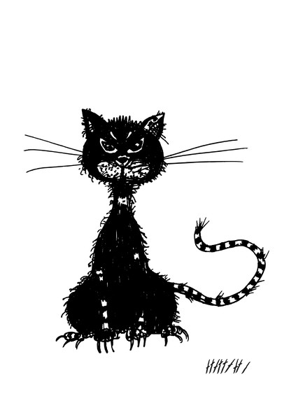 Ragged Cat