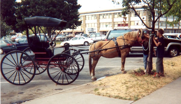 One Horse Town