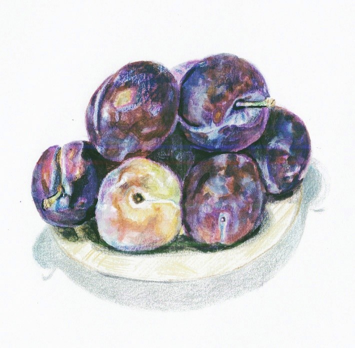 plum