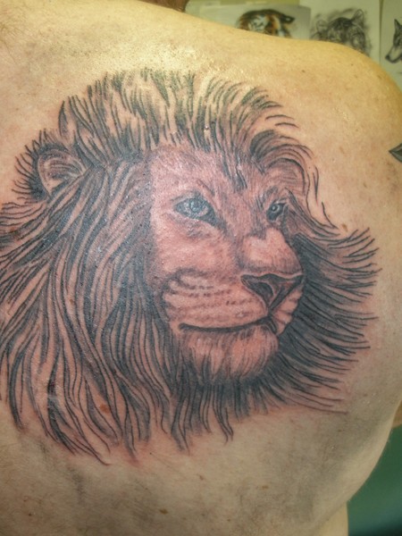 Lion Tattoo