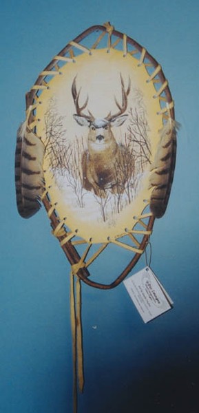Mule Deer