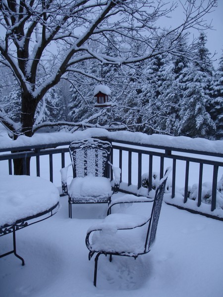 My Winter Back Porch
