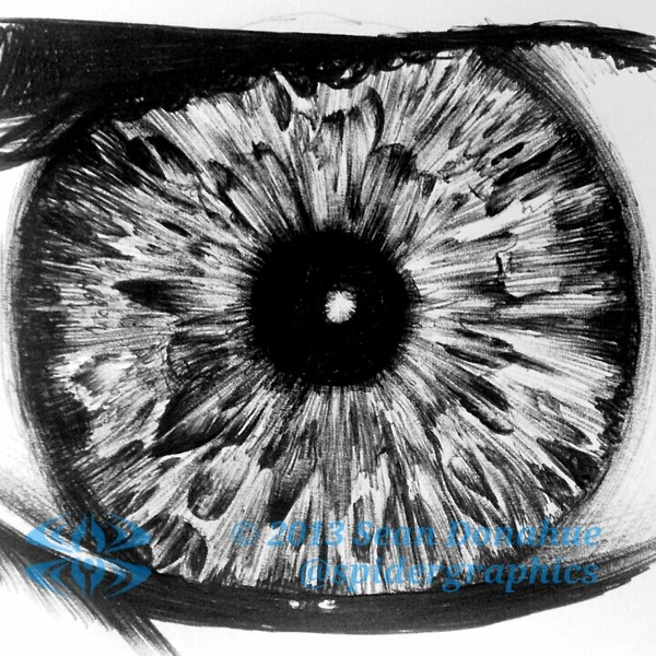 Eye study 6