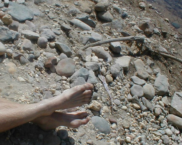 It's Neat To Treat Your Feet