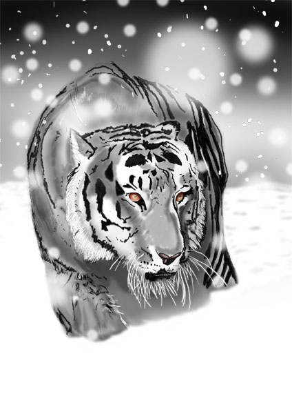 Snow tiger