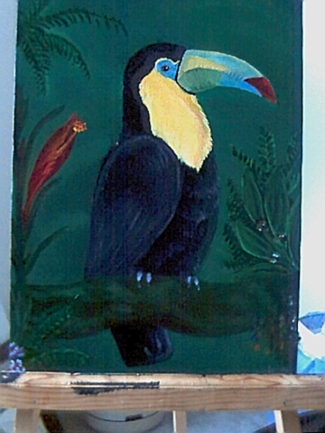 Toucan Paradise