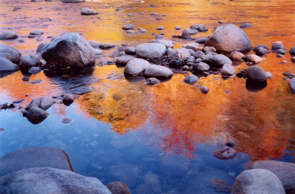 Wild River in the Fall